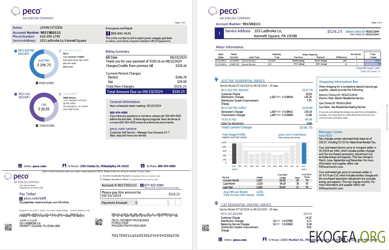 Usa Pennsylvania peco electric and gas utility bill, 3 pages template